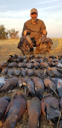 Shooting rock pigeons in South Africa